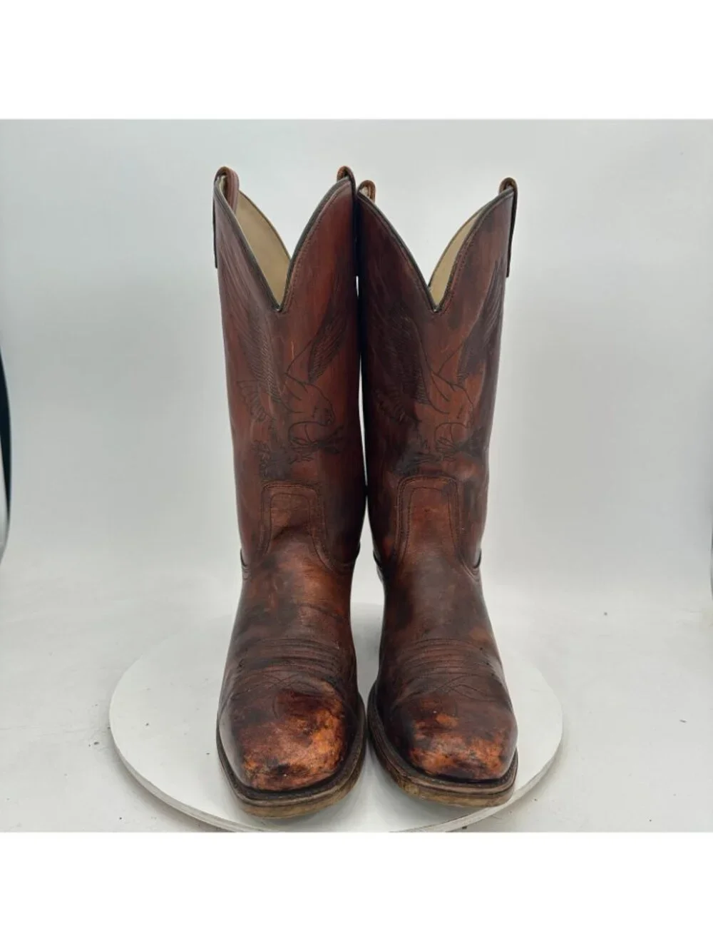 dingo size 12